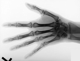 humanhand.gif